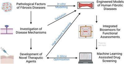 Intersection of stem cell biology and engineering towards next generation in vitro models of human fibrosis